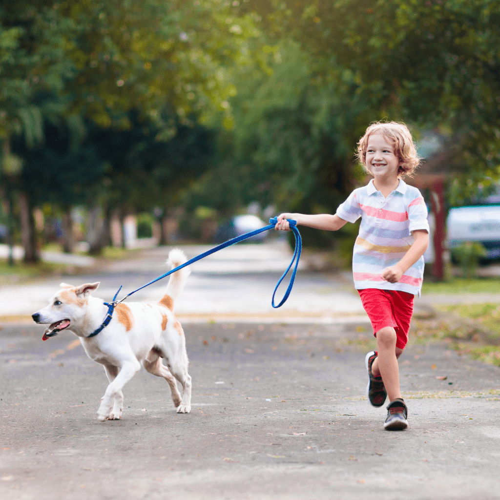 Develope Connection between Dog Child