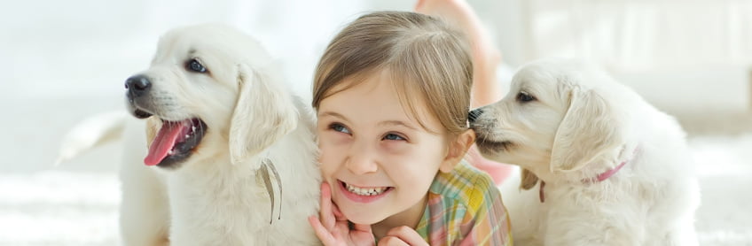 socializing your puppy