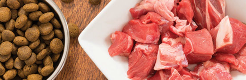 Ultimate Guide to Vitamins & Minerals for Your Dog