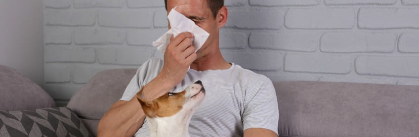 The Complete Guide - Dog Allergies