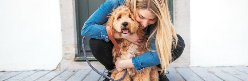 benefits of having a dog