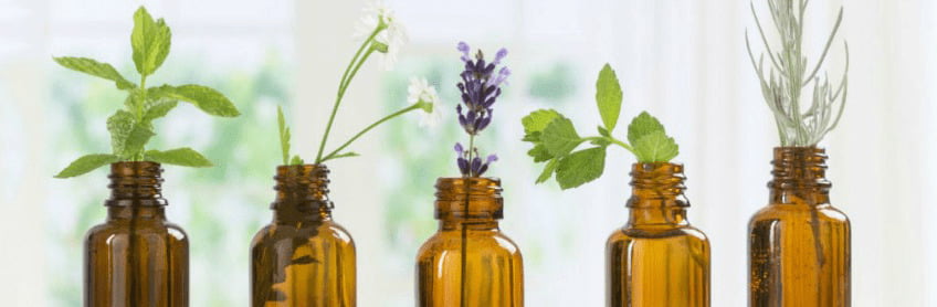 Are Essential Oils Safe for dogs?