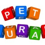Many Reasons to Get Pet Health Insurance for your Labradoodle