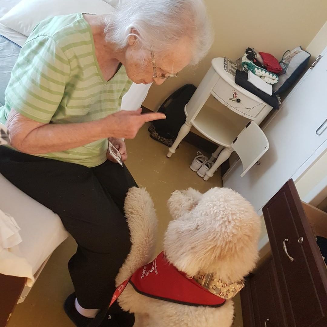 Therapeutic Benefits from "CHARLIE" at Labradoodles by Cucciolini!