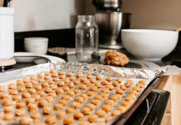 Healthy Dog Biscuit Recipe Labradoodles by Cucciolini