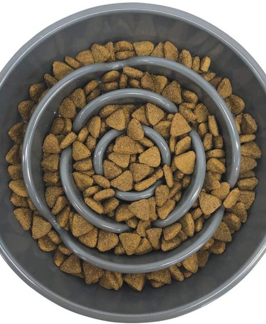 Messy Mutts Interactive Slow Feeder 2