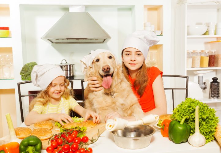 Homemade Recipe for Labradoodles with Allergies
