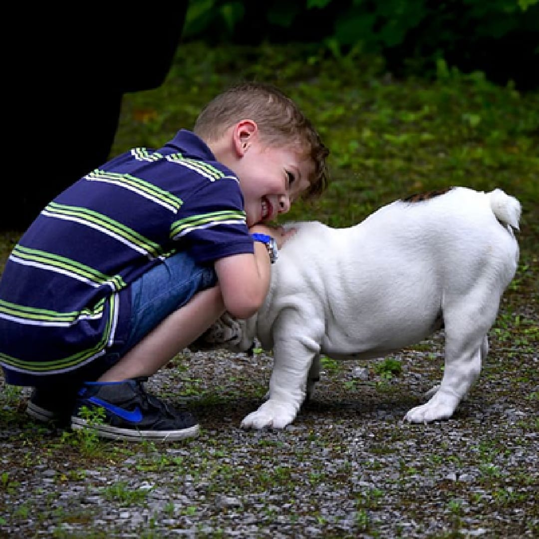 Why are Children Afraid of Dogs? Here are 10 Tips for Children Afraid of Dogs.