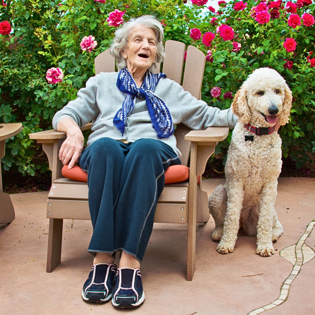 How to Improve Your Senior Dog's Quality of Life