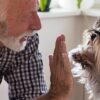 How to Improve Your Senior Dog's Quality of Life