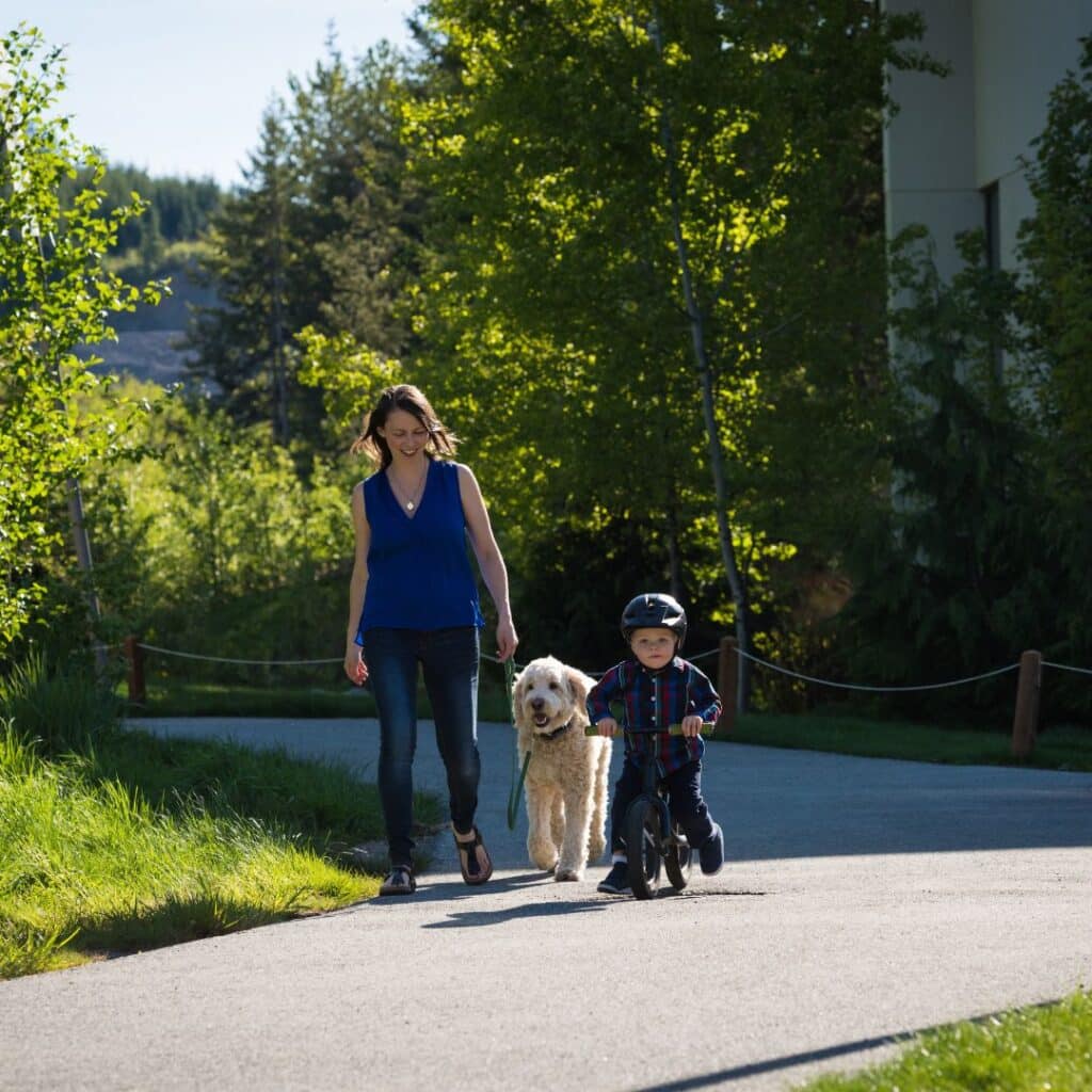 Socialization Techniques to Keep Your Cucciolini Labradoodle Happy and Healthy