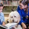 The 10 Commandments From a Dog's Perspective  The 10 Commandments From a Dog's Perspective