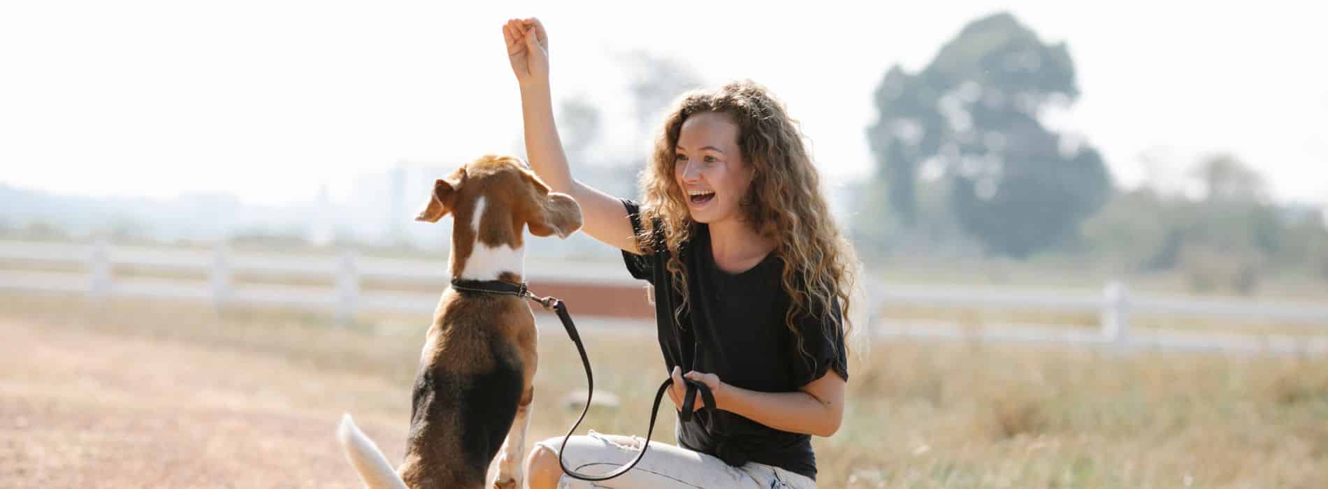 10 Pawsome Tricks to Teach Your Dog Unleash the Fun