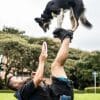 10 Tricks to Teach Your Dog: Unleash the Fun!  10 Tricks to Teach Your Dog Unleash the Fun!