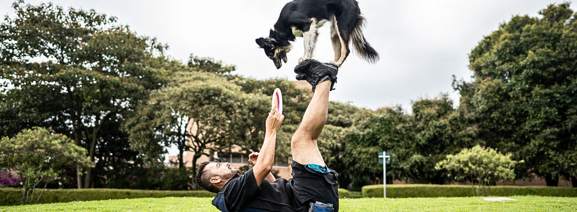 10 Tricks to Teach Your Dog: Unleash the Fun!  10 Tricks to Teach Your Dog Unleash the Fun!