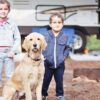 Camping with Your Dog Easy and Stress-Free?