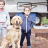 Camping with Your Dog Easy and Stress-Free?  Camping with Your Dog Easy and Stress-Free