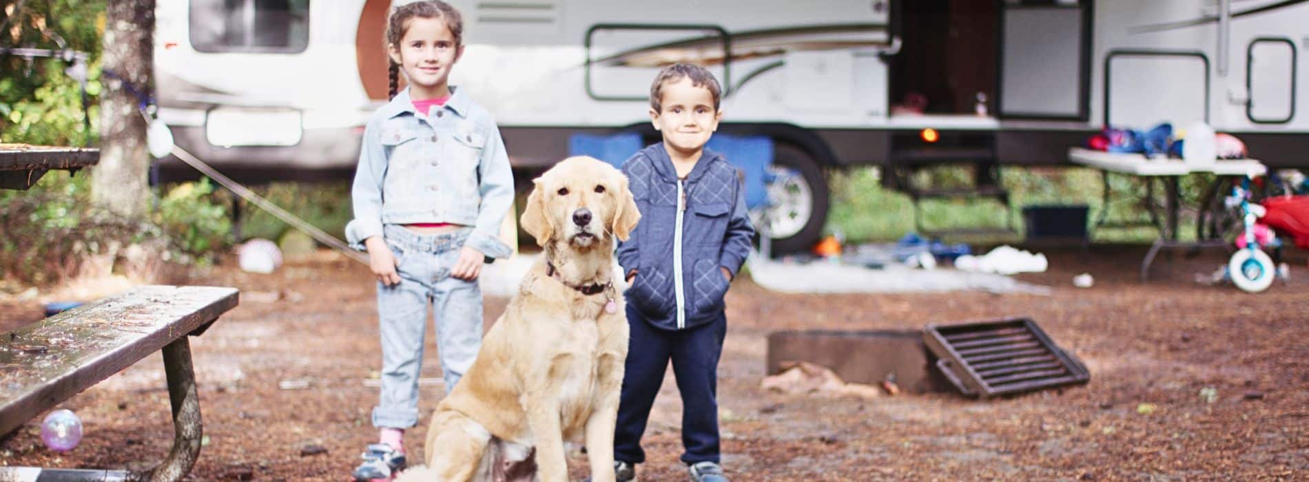 Camping with Your Dog Easy and Stress-Free?