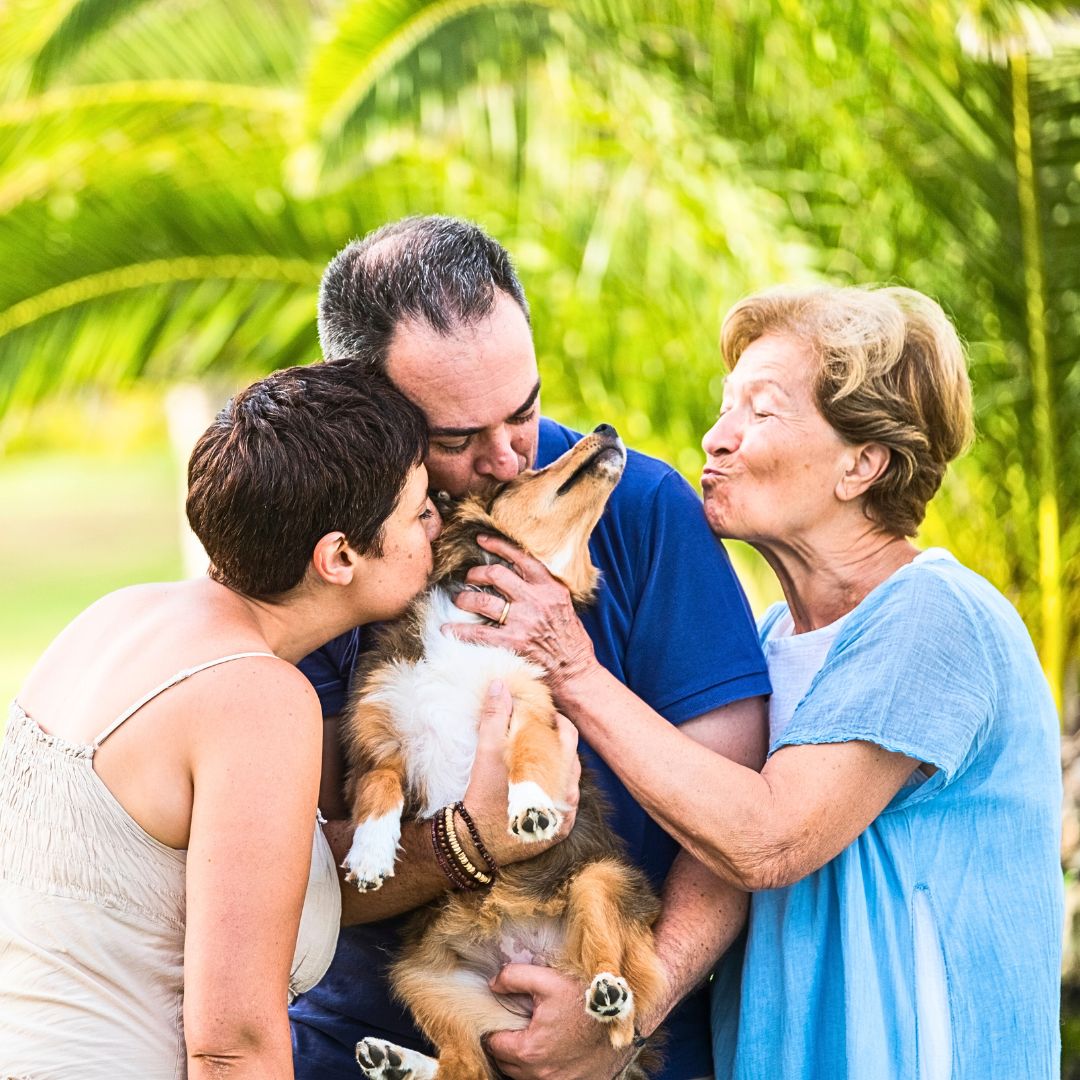 Dog Kisses and Hugs