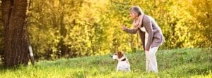 Dog Ownership brings Happiness.
