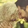 Happiness Dogs Bring to our Lives  Happiness-Dogs-Bring-to-our-Lives (1)