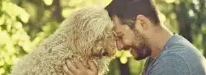 Happiness Dogs Bring to our Lives