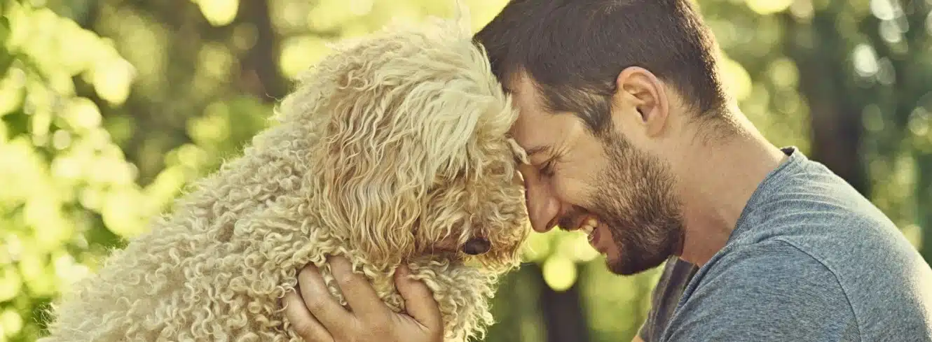 Happiness Dogs Bring to our Lives