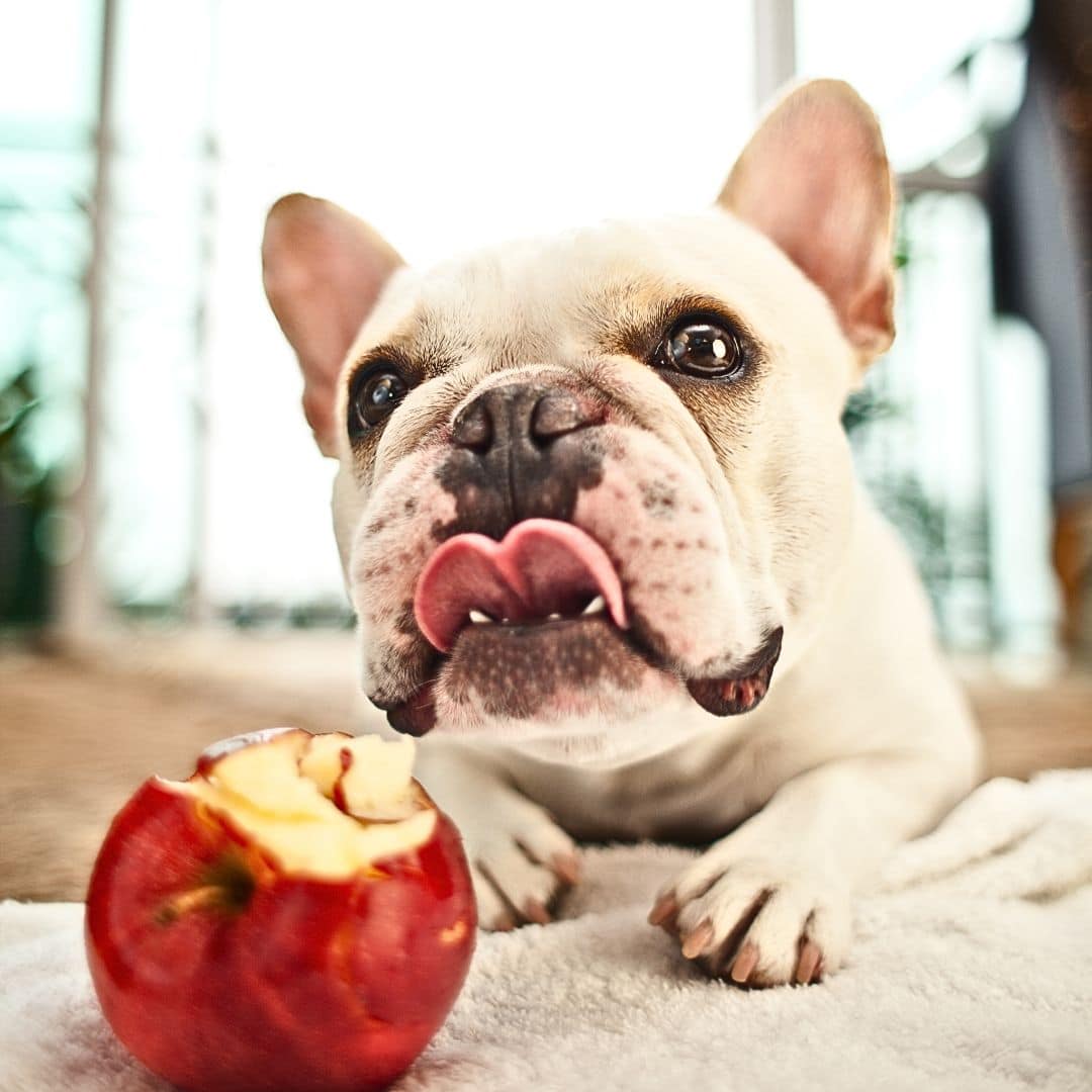 Apple Seeds