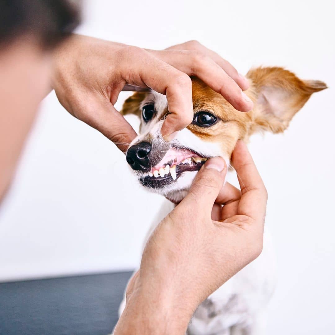 Developing this important hygiene habit requires consistent time and patience. 