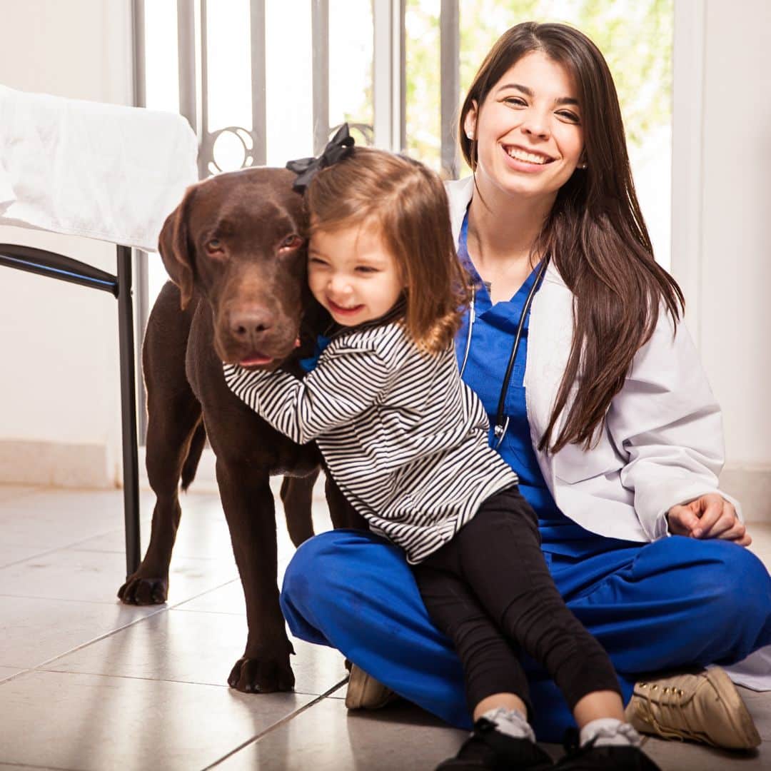 Reuniting Pets and Owners