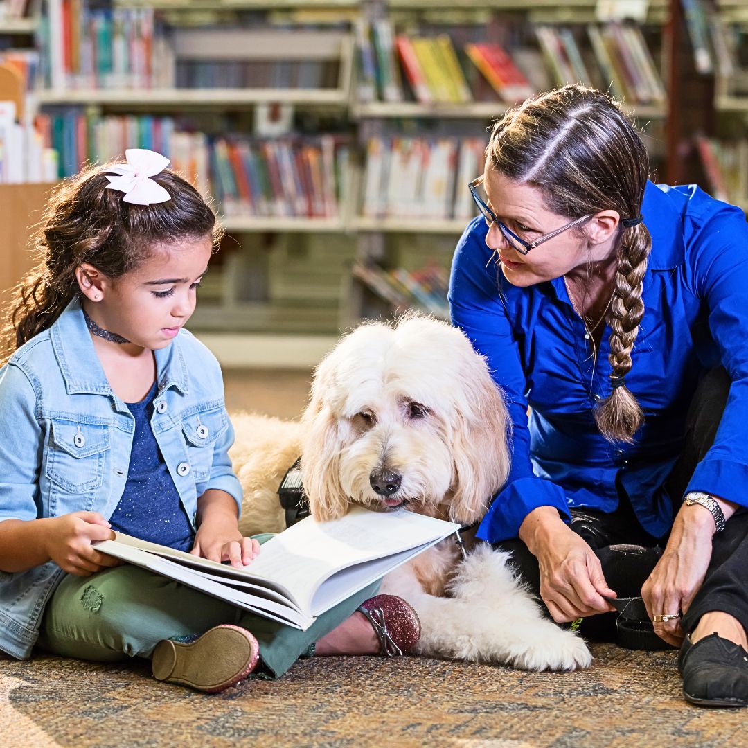 THERAPY DOG QUALITIES in Labradoodles by Cucciolini