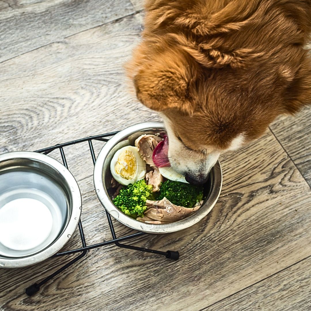 The Benefits of Natural Foods: Why It Matters 