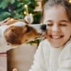 What is the Meaning Behind Your Dog's Licking Behavior?  What is the Meaning Behind Your Dog's Licking Behavior