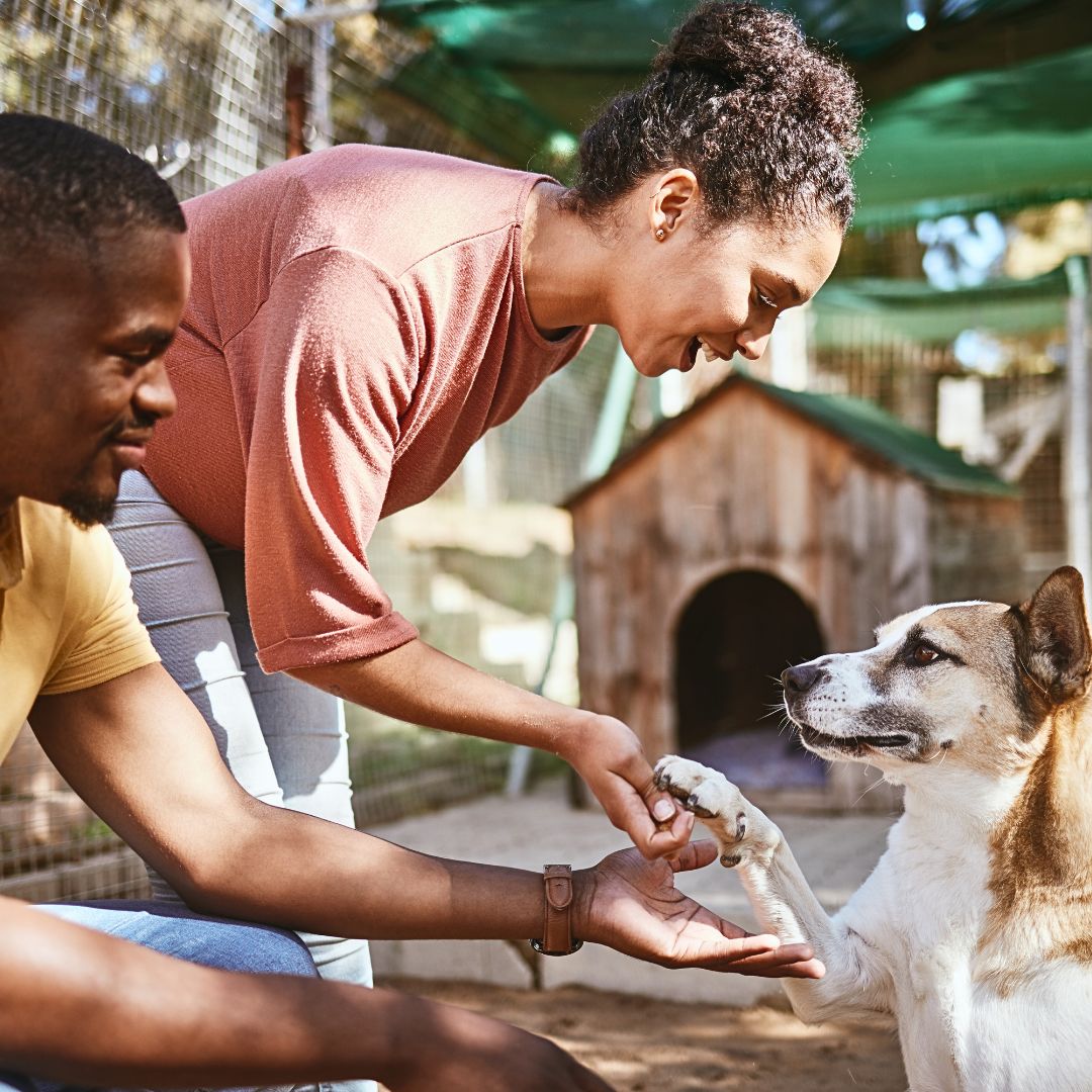 Can owning a dog help improve mental well-being?