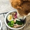 5 Easy Homemade Dog Food Recipes