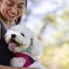 How do labradoodles help children with autism?