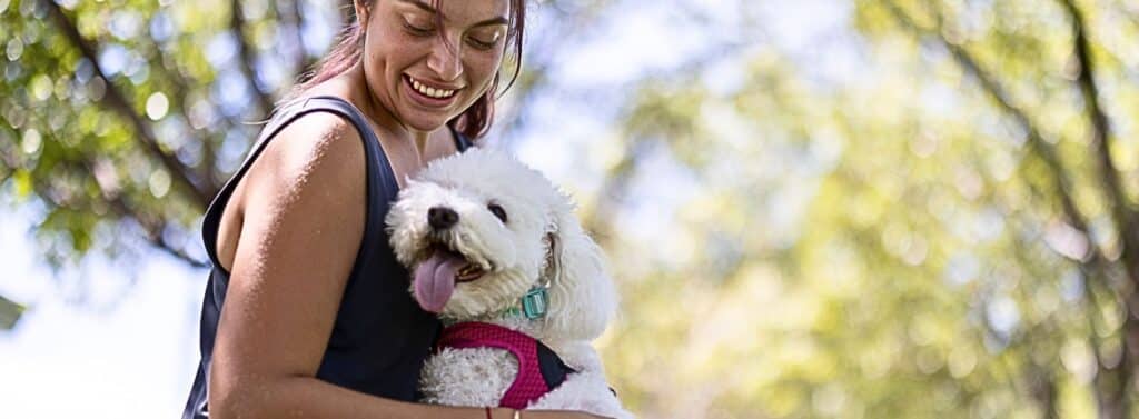 How do labradoodles help children with autism?