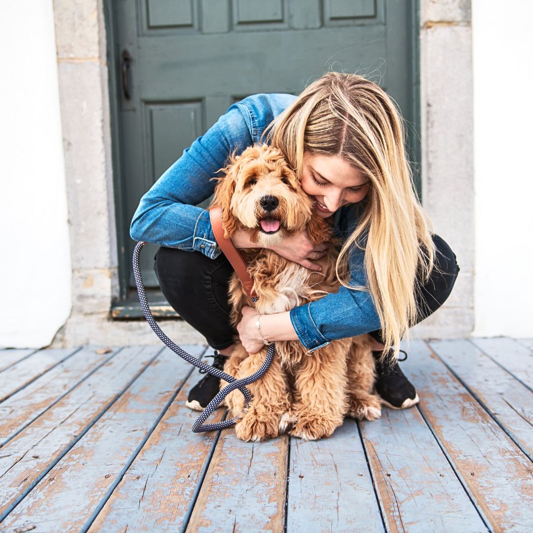 Labradoodles Reduce Anxiety and Stress