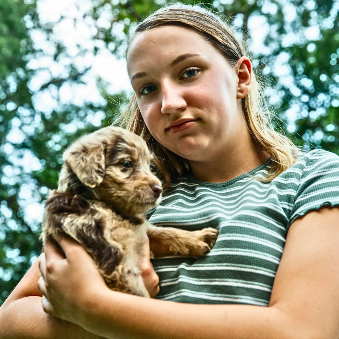 The Bond Between Labradoodles and Children