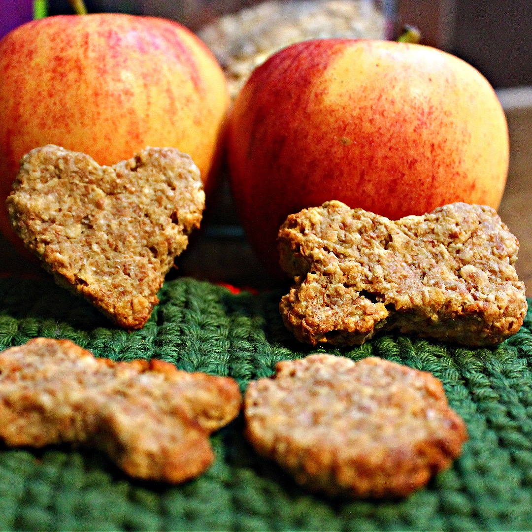 Apple and Cheddar Dog Treats