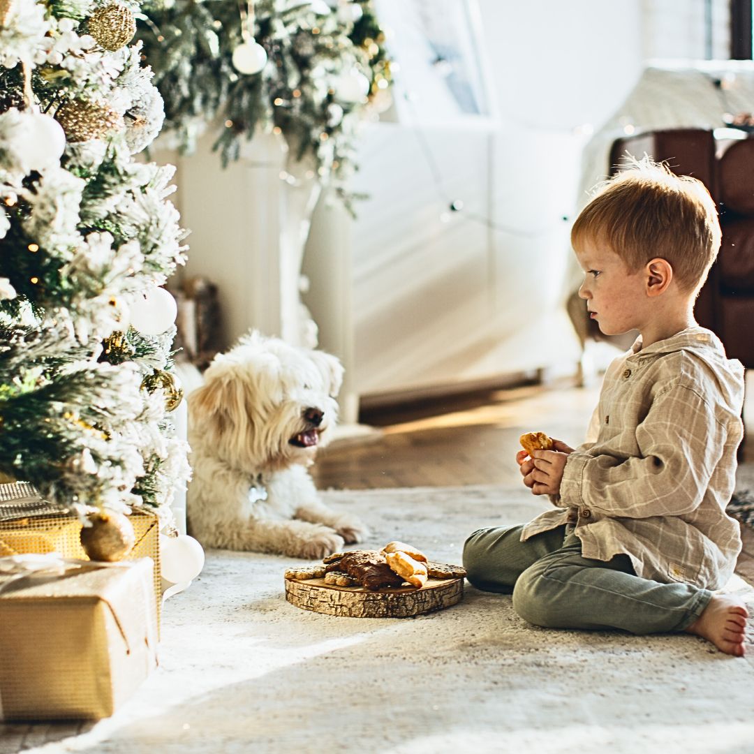 Create a Cozy Space for Your Labradoodle to Relax and Enjoy the Festivities