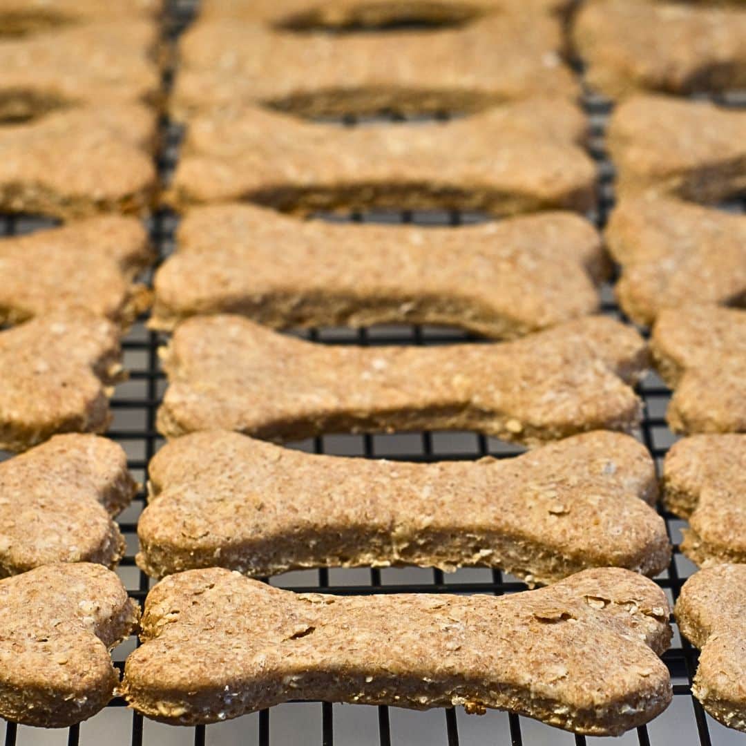 Peanut Butter and Banana Treats