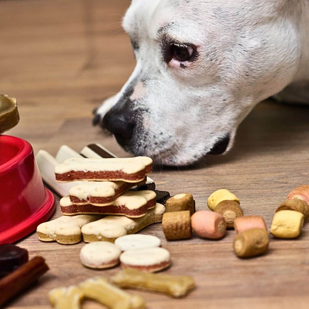 Strawberry Peanut Butter Labradoodles Treats