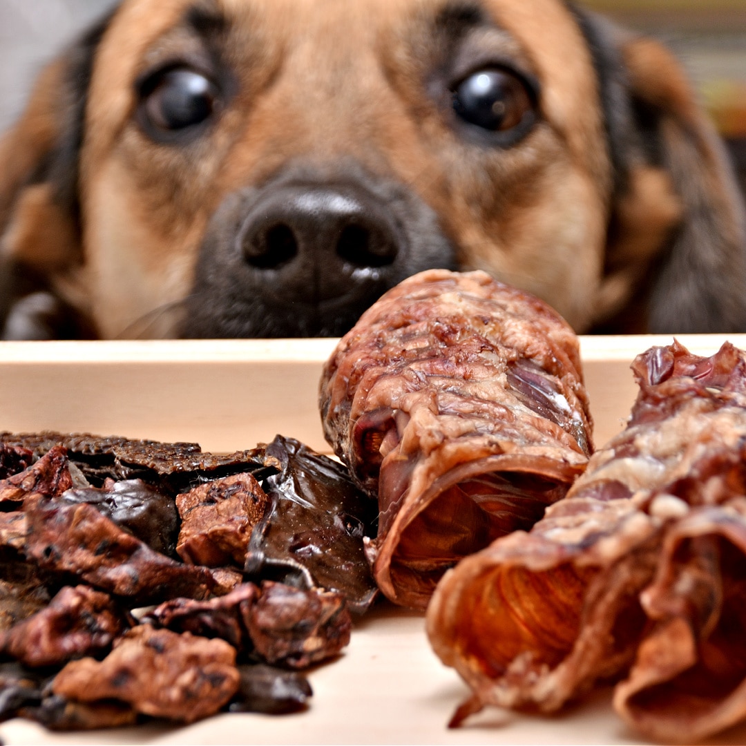 Sweet Potato and Chicken Jerky