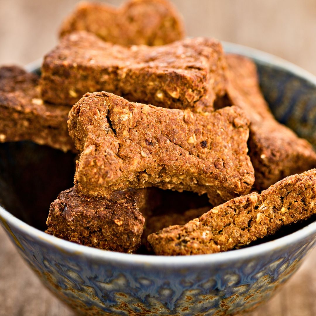 pumpkin spice dog biscuits