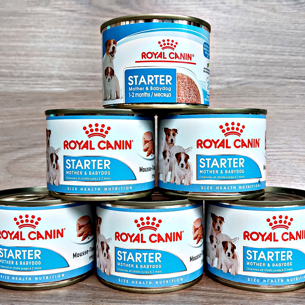 Labradoodle Puppies and Royal Canin Puppy Food