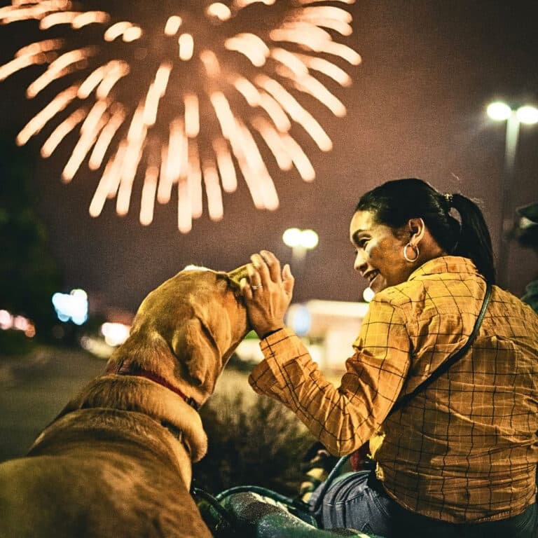 How to Keep Your Dog Calm During Fireworks