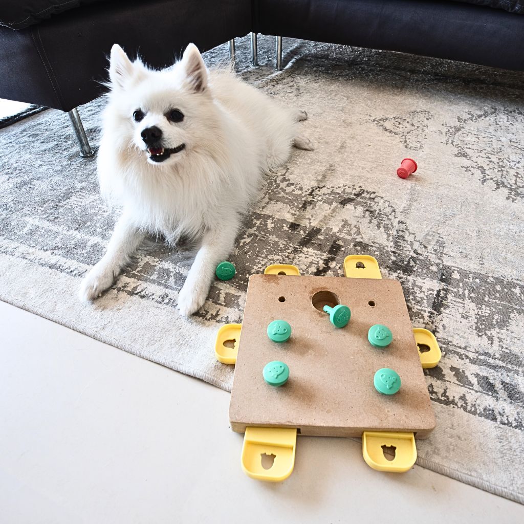 Why are Dog Puzzles Important for Mental Stimulation?