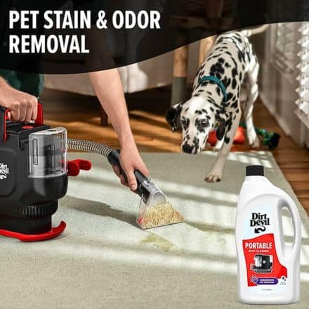 STAIN ODOR REMOVALS