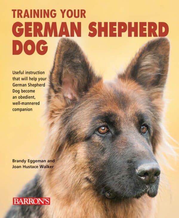 Training your German Sheppard  61iwIqVFiJL_SL1000_